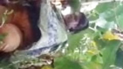 Bangladeshi couple sex in banana garden